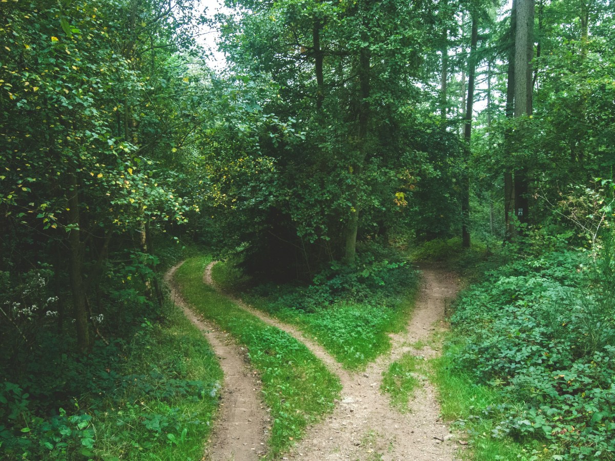 Different Students, Different&nbsp;Paths